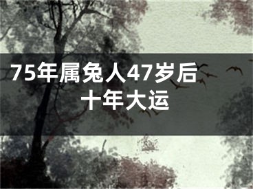 75年属兔人47岁后十年大运