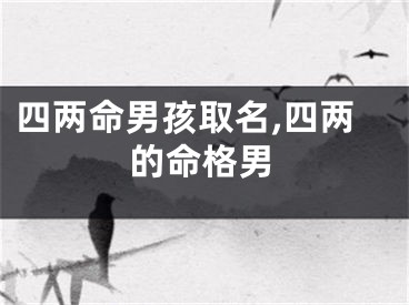 四两命男孩取名,四两的命格男