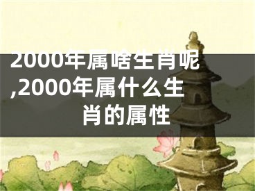 2000年属啥生肖呢,2000年属什么生肖的属性