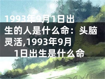 1993年9月1日出生的人是什么命：头脑灵活,1993年9月1日出生是什么命
