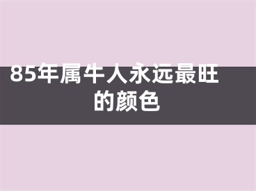 85年属牛人永远最旺的颜色