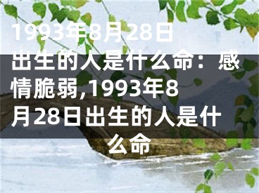 1993年8月28日出生的人是什么命：感情脆弱,1993年8月28日出生的人是什么命