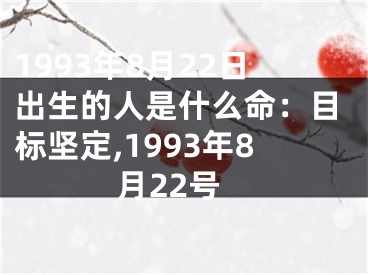 1993年8月22日出生的人是什么命：目标坚定,1993年8月22号