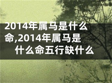 2014年属马是什么命,2014年属马是什么命五行缺什么