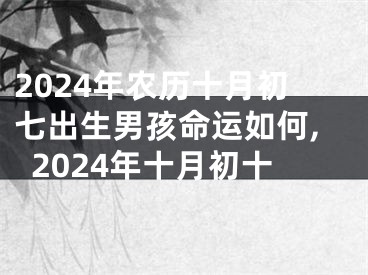 2024年农历十月初七出生男孩命运如何,2024年十月初十