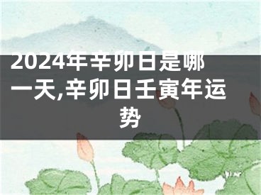 2024年辛卯日是哪一天,辛卯日壬寅年运势