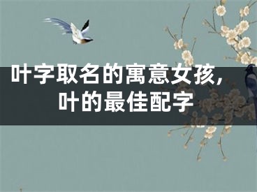 叶字取名的寓意女孩,叶的最佳配字