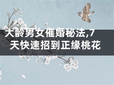 大龄男女催婚秘法,7天快速招到正缘桃花