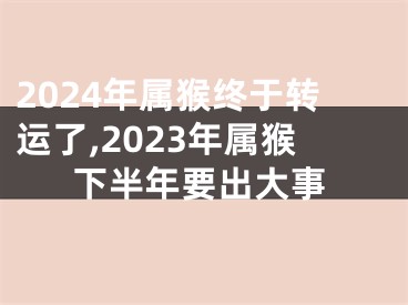 2024年属猴终于转运了,2023年属猴下半年要出大事