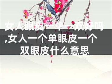 女人眼皮一单一双好吗,女人一个单眼皮一个双眼皮什么意思