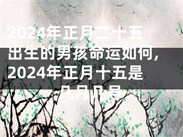 2024年正月二十五出生的男孩命运如何,2024年正月十五是几月几号