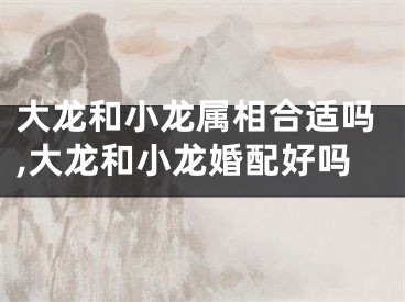 大龙和小龙属相合适吗,大龙和小龙婚配好吗