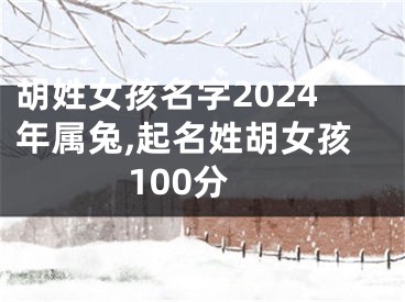 胡姓女孩名字2024年属兔,起名姓胡女孩100分