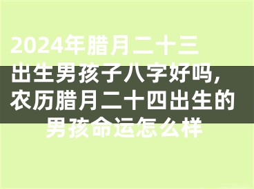 2024年腊月二十三出生男孩子八字好吗,农历腊月二十四出生的男孩命运怎么样