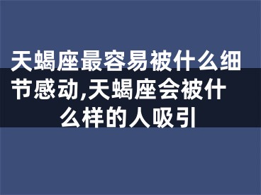 天蝎座最容易被什么细节感动,天蝎座会被什么样的人吸引