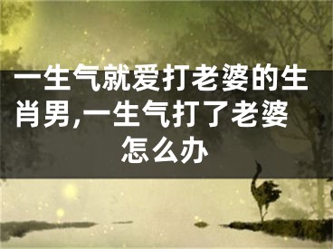 一生气就爱打老婆的生肖男,一生气打了老婆怎么办
