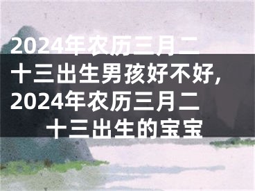2024年农历三月二十三出生男孩好不好,2024年农历三月二十三出生的宝宝
