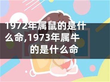 1972年属鼠的是什么命,1973年属牛的是什么命