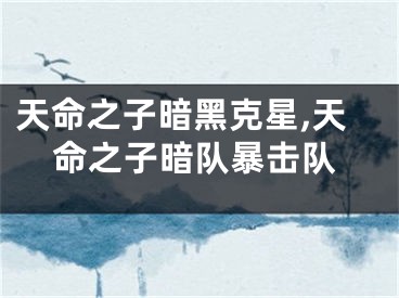天命之子暗黑克星,天命之子暗队暴击队