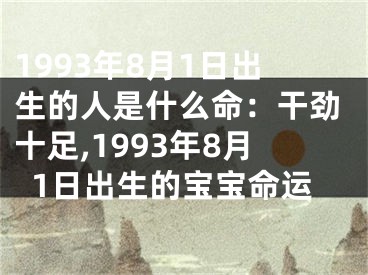 1993年8月1日出生的人是什么命：干劲十足,1993年8月1日出生的宝宝命运