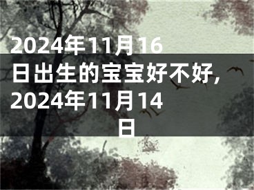 2024年11月16日出生的宝宝好不好,2024年11月14日