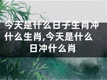 今天是什么日子生肖冲什么生肖,今天是什么日冲什么肖
