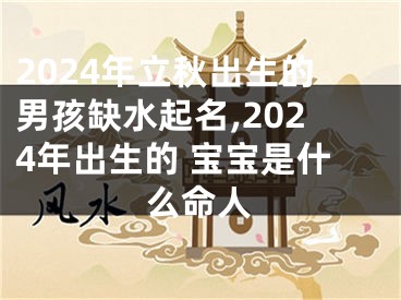 2024年立秋出生的男孩缺水起名,2024年出生的 宝宝是什么命人