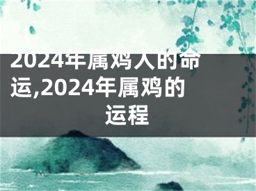 2024年属鸡人的命运,2024年属鸡的运程