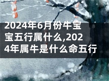 2024年6月份牛宝宝五行属什么,2024年属牛是什么命五行