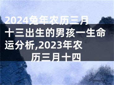2024兔年农历三月十三出生的男孩一生命运分析,2023年农历三月十四