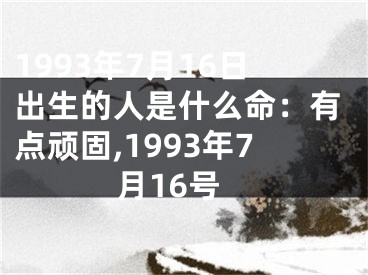 1993年7月16日出生的人是什么命：有点顽固,1993年7月16号