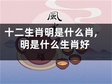 十二生肖明是什么肖,明是什么生肖好