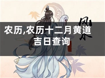 农历,农历十二月黄道吉日查询