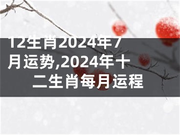12生肖2024年7月运势,2024年十二生肖每月运程