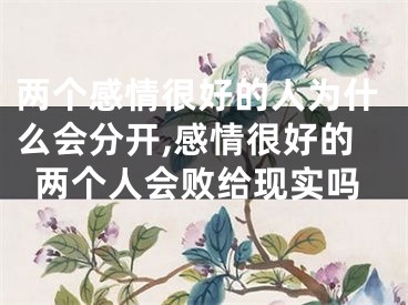 两个感情很好的人为什么会分开,感情很好的两个人会败给现实吗