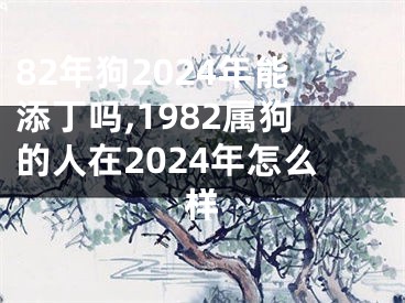 82年狗2024年能添丁吗,1982属狗的人在2024年怎么样
