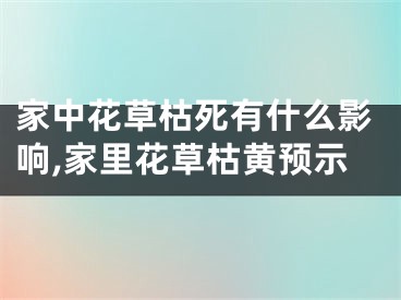 家中花草枯死有什么影响,家里花草枯黄预示