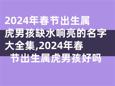 2024年春节出生属虎男孩缺水响亮的名字大全集,2024年春节出生属虎男孩好吗