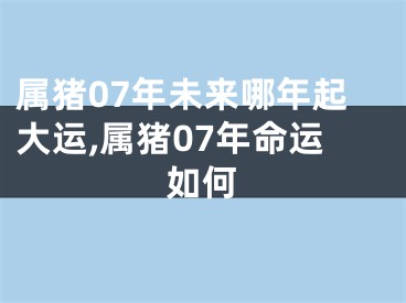属猪07年未来哪年起大运,属猪07年命运如何