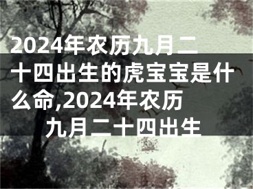 2024年农历九月二十四出生的虎宝宝是什么命,2024年农历九月二十四出生