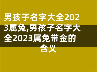 男孩子名字大全2023属兔,男孩子名字大全2023属兔带金的含义