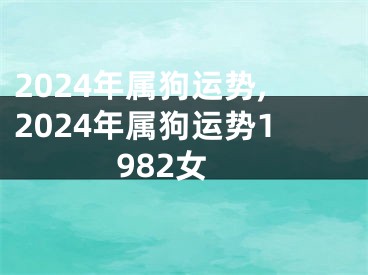 2024年属狗运势,2024年属狗运势1982女