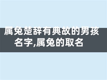 属兔楚辞有典故的男孩名字,属兔的取名