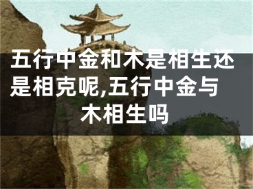 五行中金和木是相生还是相克呢,五行中金与木相生吗