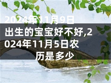 2024年11月9日出生的宝宝好不好,2024年11月5日农历是多少