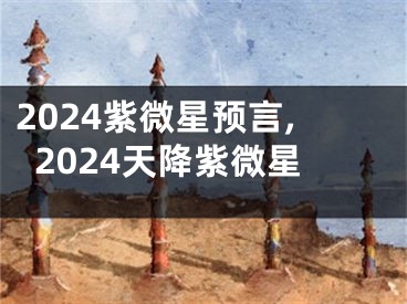 2024紫微星预言,2024天降紫微星