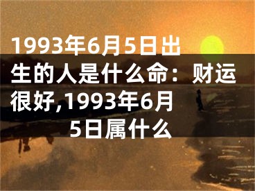 1993年6月5日出生的人是什么命：财运很好,1993年6月5日属什么