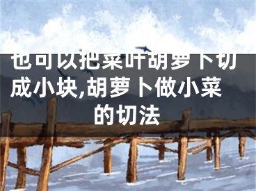 也可以把菜叶胡萝卜切成小块,胡萝卜做小菜的切法