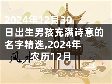 2024年12月30日出生男孩充满诗意的名字精选,2024年农历12月