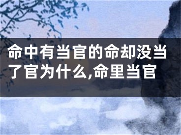 命中有当官的命却没当了官为什么,命里当官